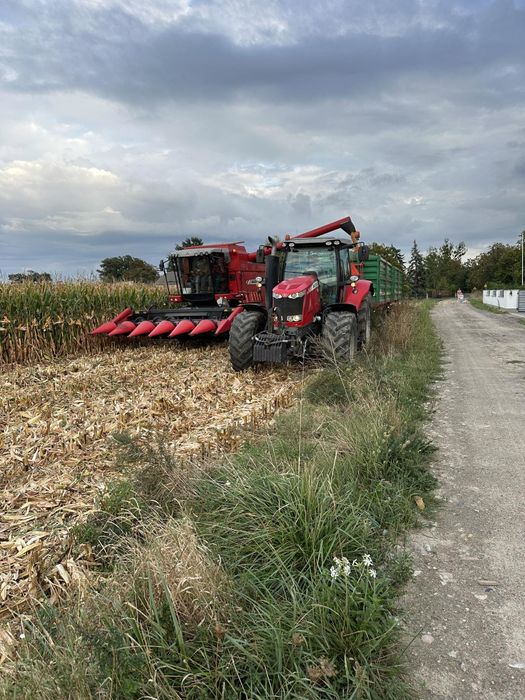 Usługi rolnicze,usługa kombajnem,transport,uprawa bezorkowa,siew zbóż,