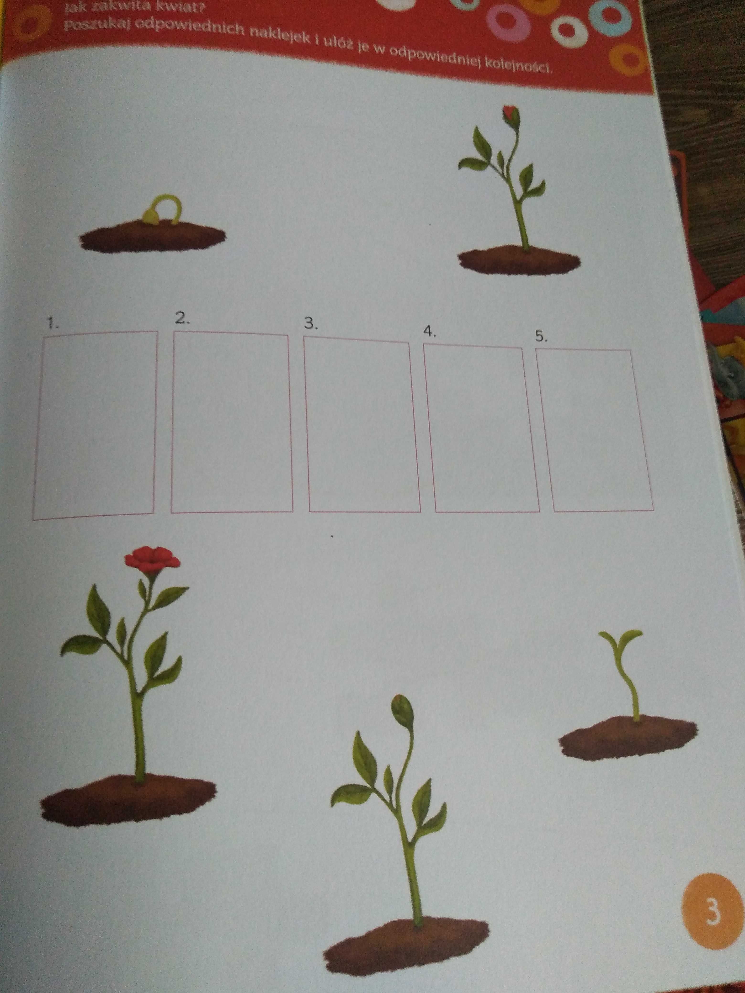 Książeczka z zadaniami dla 6 latka