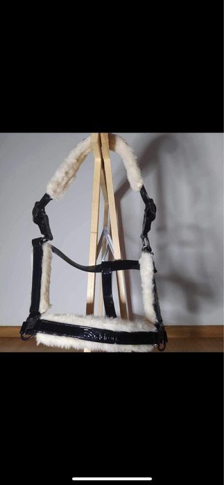 kantar eskadron xfull limitowana kolekcja