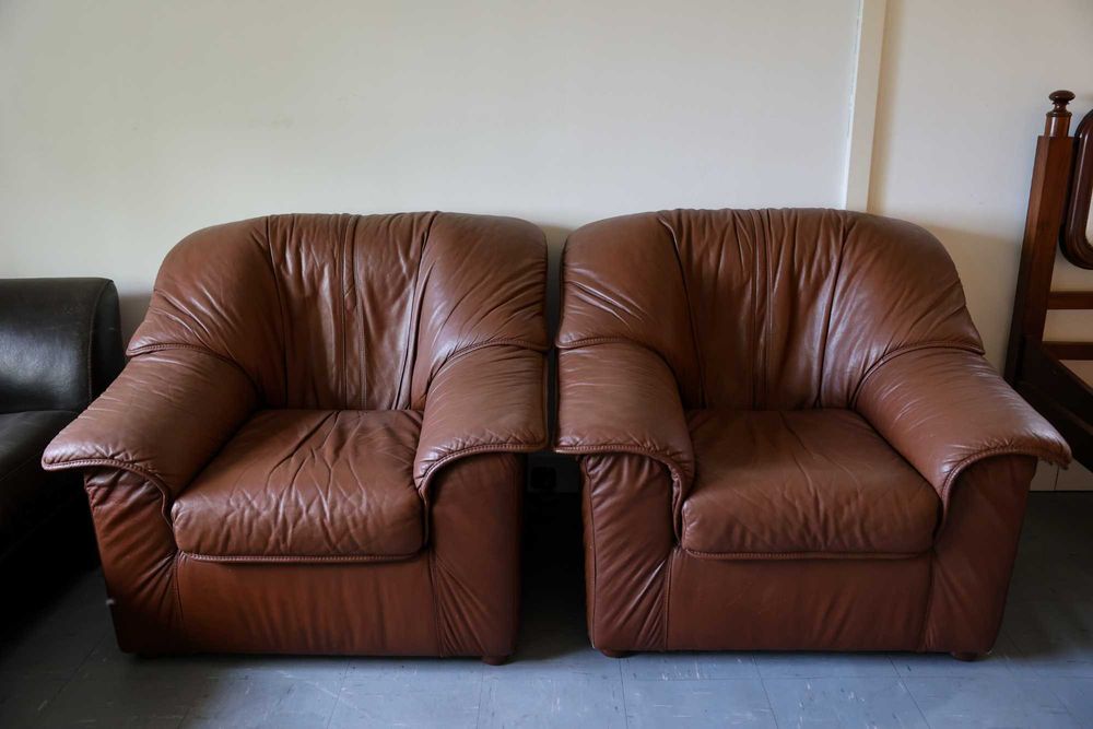 Maple em pele castanha