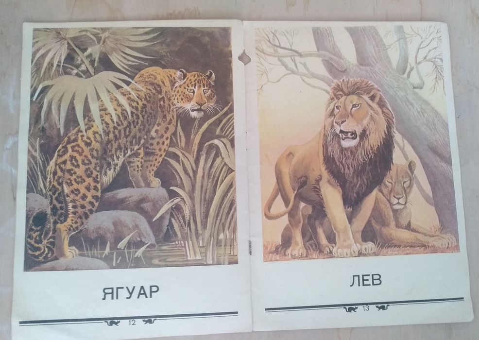 Книга" Что кошка себе вообразила" С. Михалков.