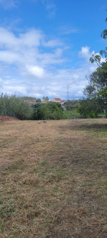 Manutenção de jardins/Limpeza de terrenos