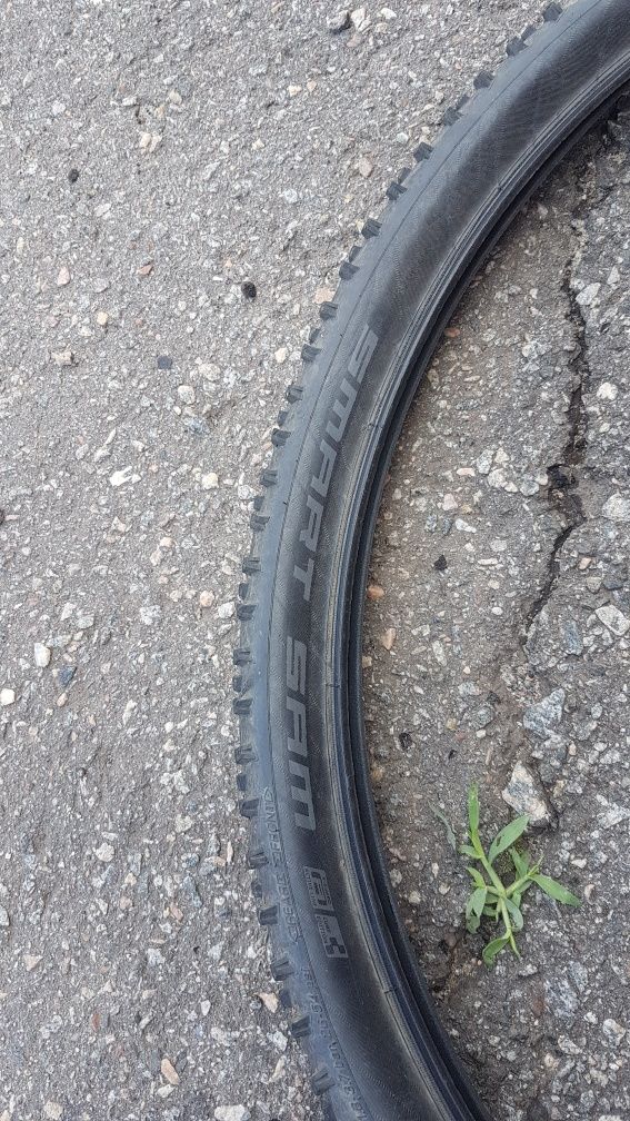 Maxxis crossmark, shwalbe smart sam 29/2,1