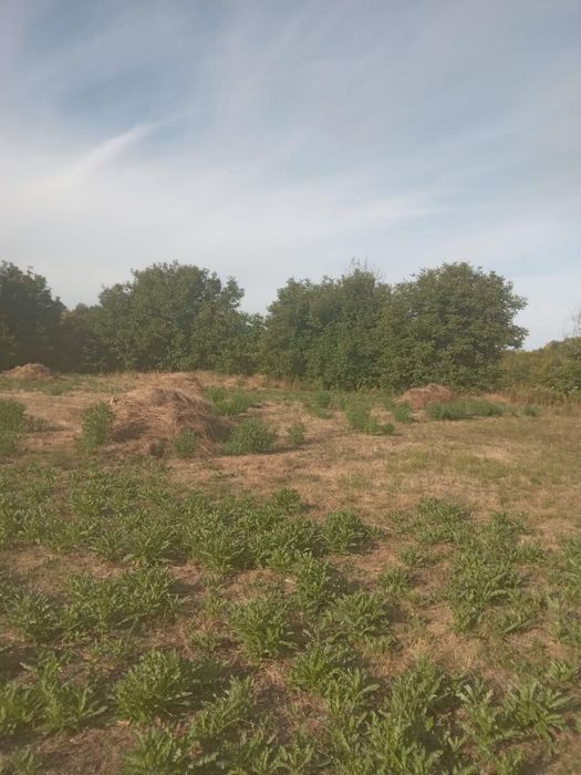 Продам Будинок Лиса Гора