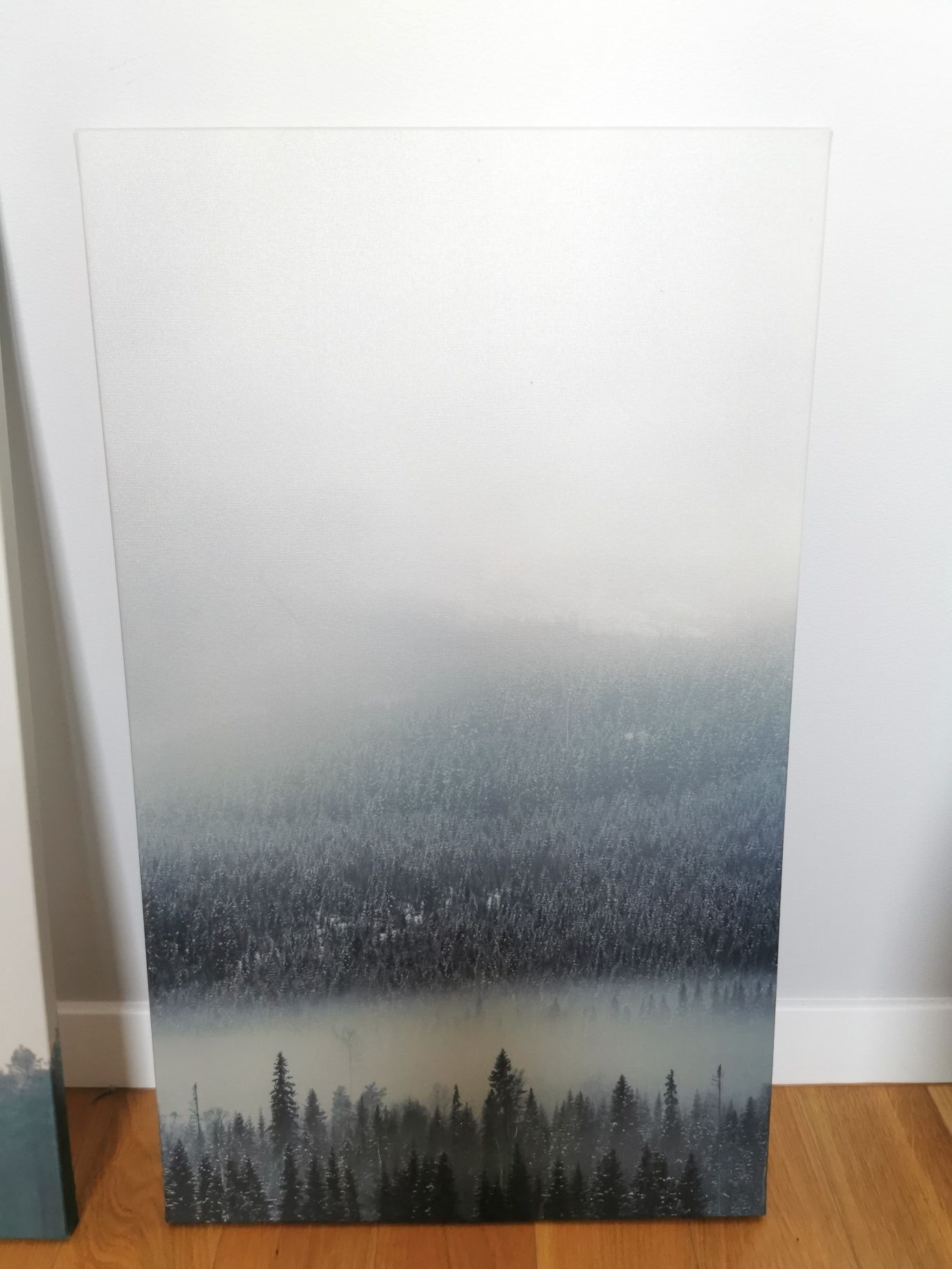 Zestaw 2 obrazkow IKEA duże 39cm x 65cm