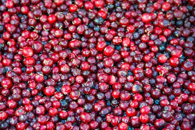 Продам Журавлину