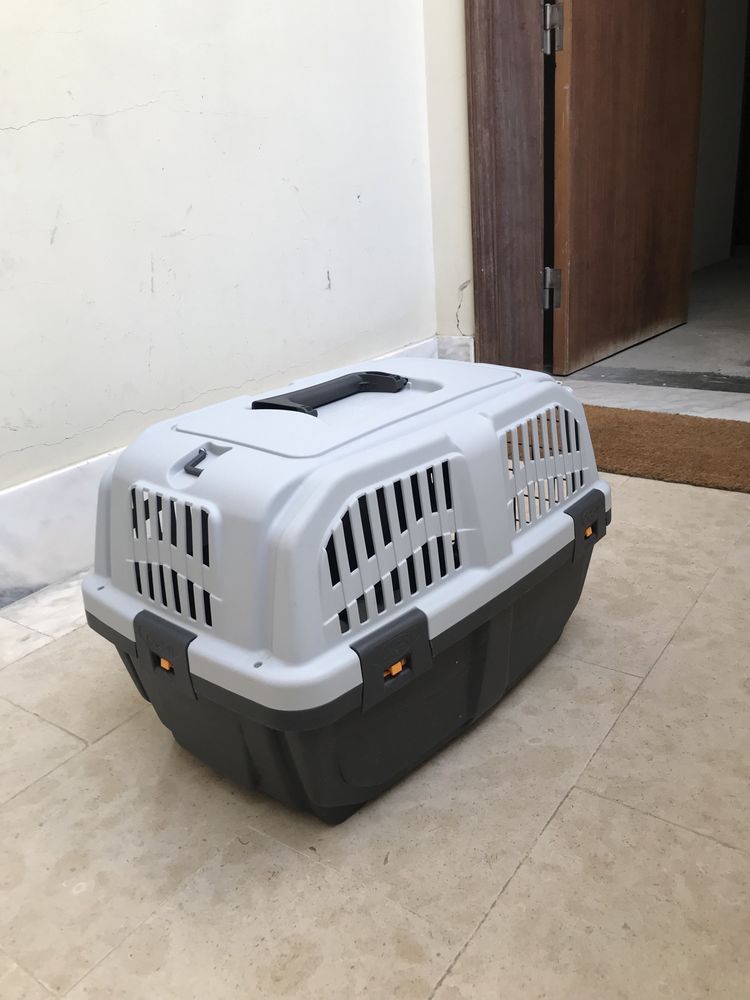 Caixa Transportadora Gatos