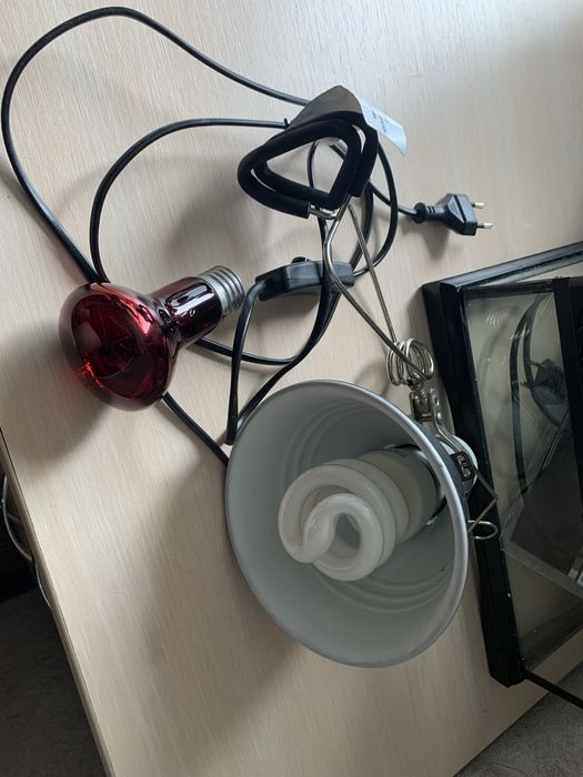 Тераріум, декор, освітлення