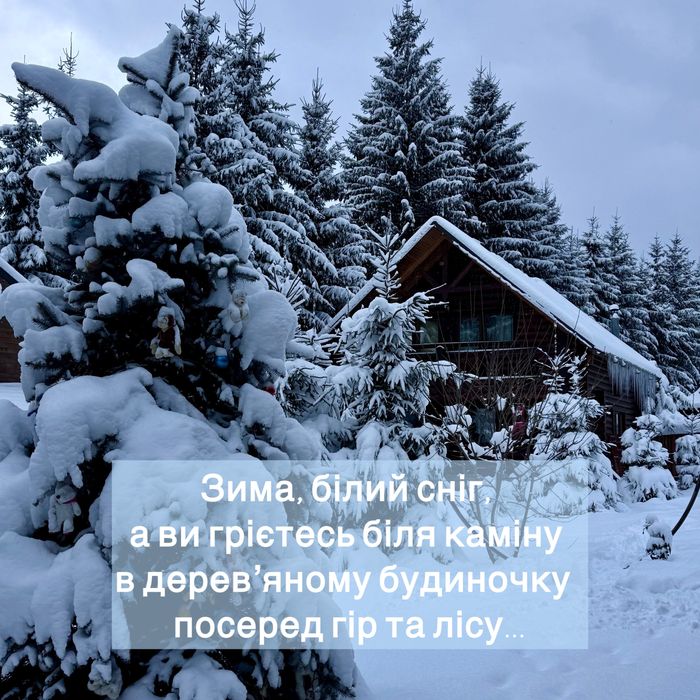 Затишний дерев'яний будиночок у тиші лісу на 4+2 осіб