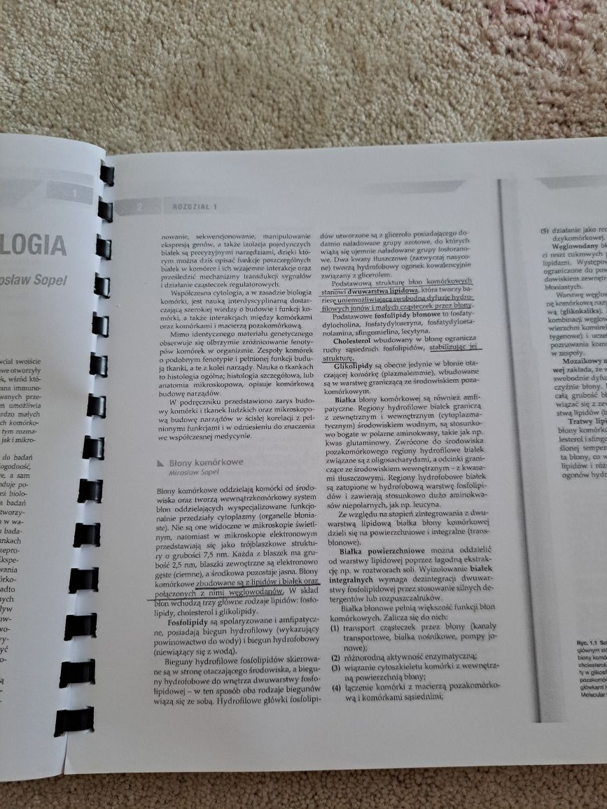 Histologia podręcznik dla studentów medycyny i stomatologii umed