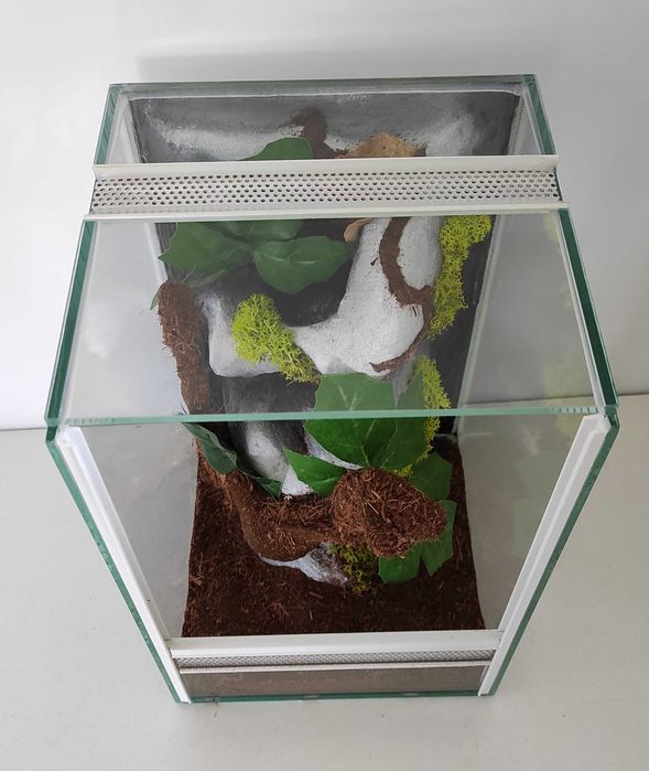 Terrarium dla pająka, nicaragu, AquaWaves, TW02KTP