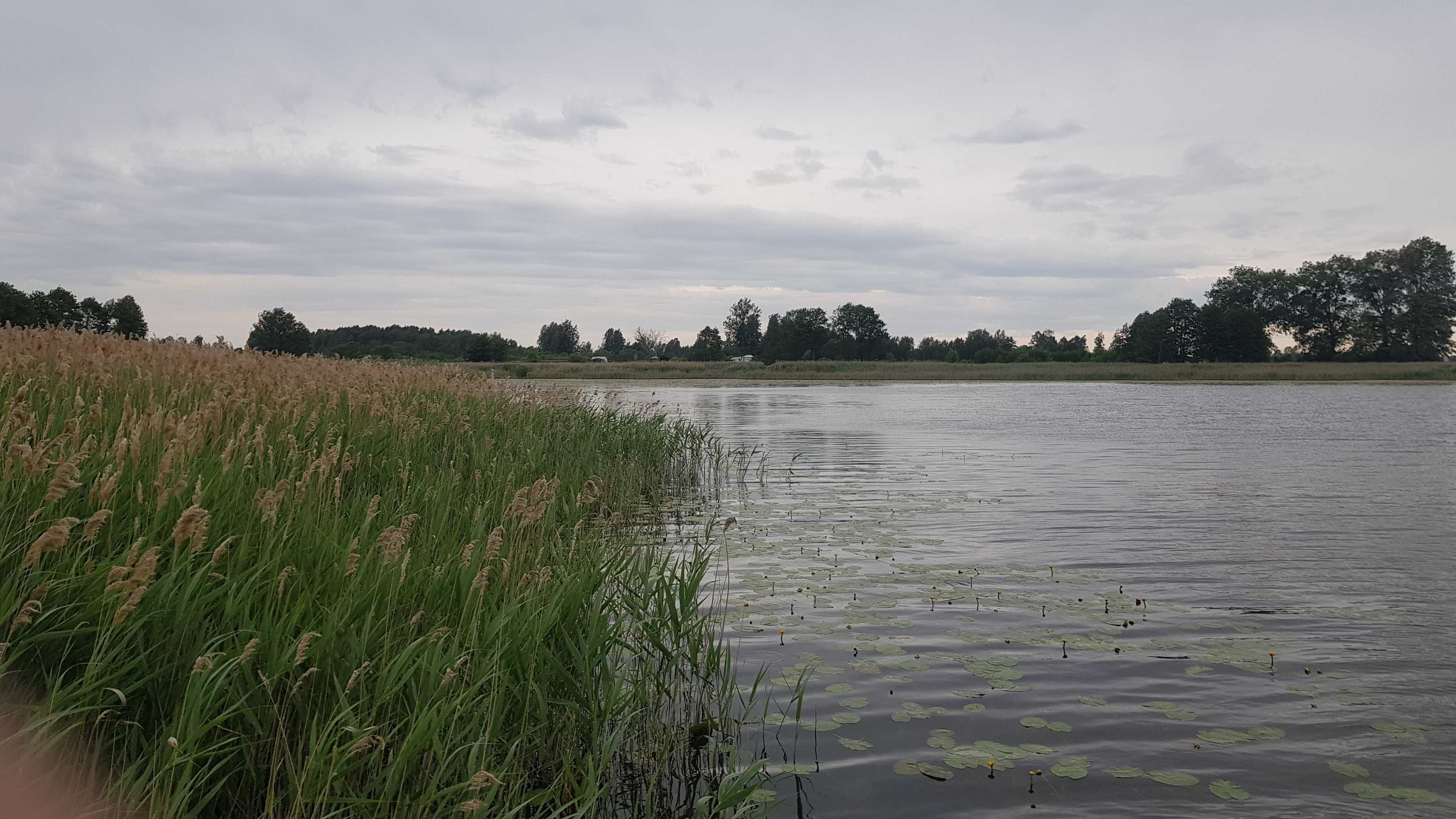Własna działka na jeziorem z linią brzegową. Wynajem! Cena za Rok!!!