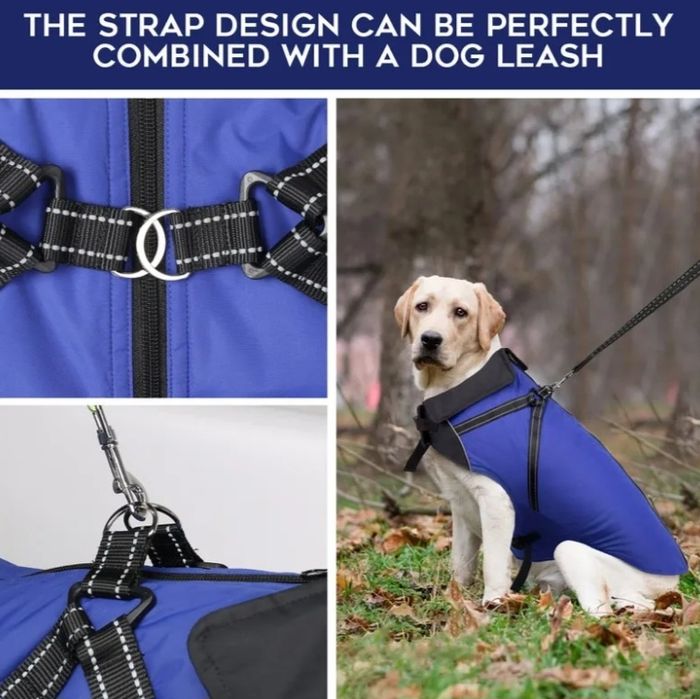 Куртка для собак buddypuppy