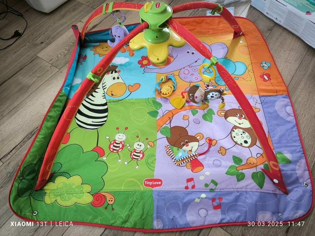 Matka edukacyjna