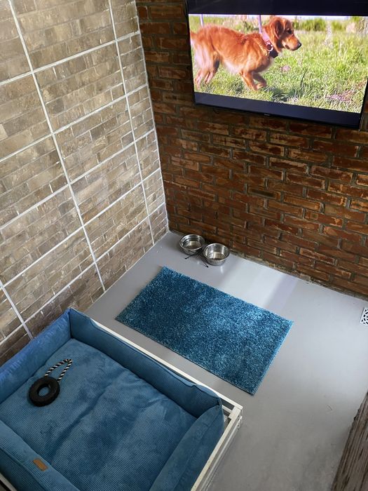 Школа Дресирування навчання Собак Коростень з проживанням Кінолог