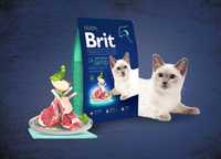 Корм для котів з чутливим травленням Brit Premium Cat Sensitive 8кг