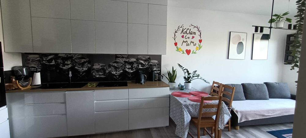 Mieszkanie na wynajem 2 osobne pokoje 34m2