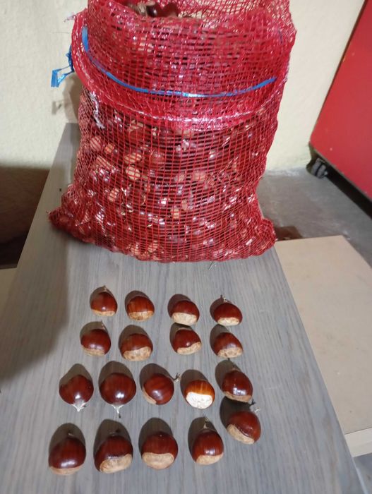 Castanha Martainha e figo seco