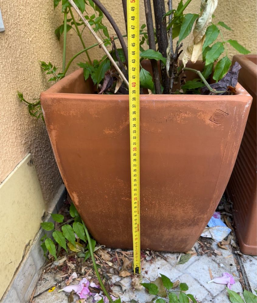 Vaso terracota com/sem planta