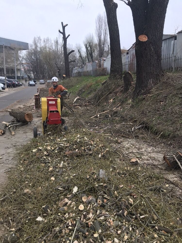 Валка сосен, расчистка участка, дробление веток, вывоз, спил деревьев