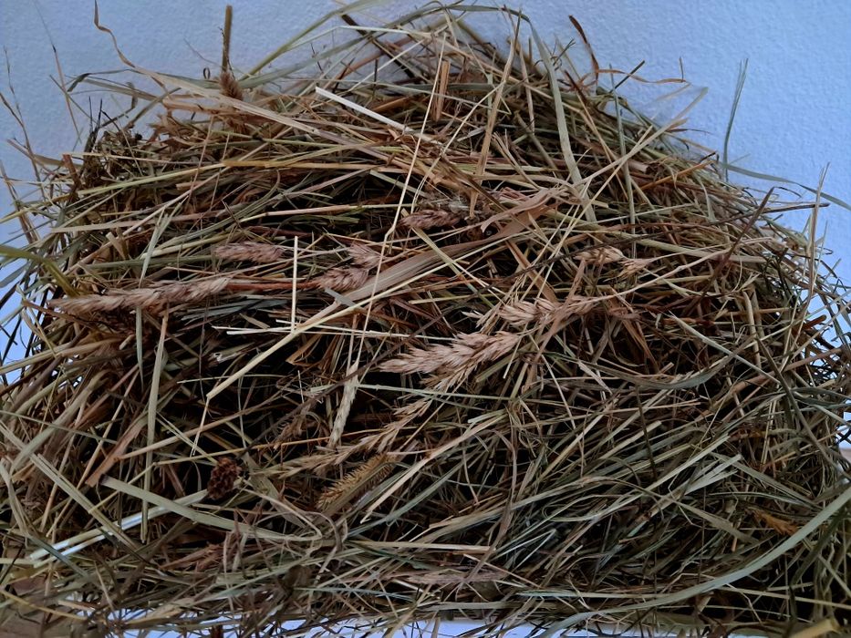 Sianko ekologiczne dla gryzoni, zwierzat domowych i hodowlanych 2kg
