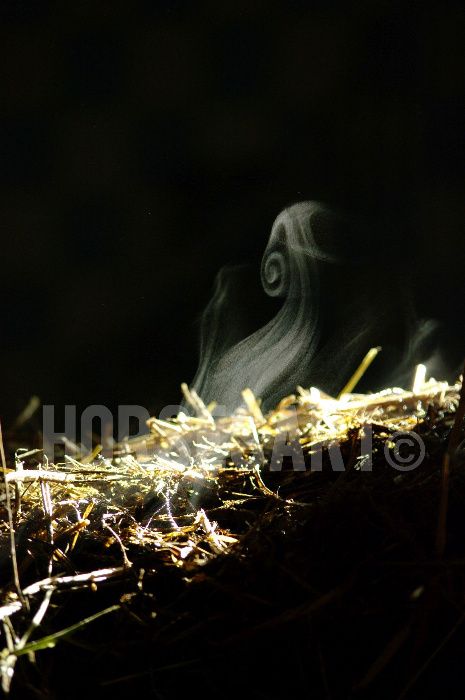 Nawóz obornik do ogrodu koński