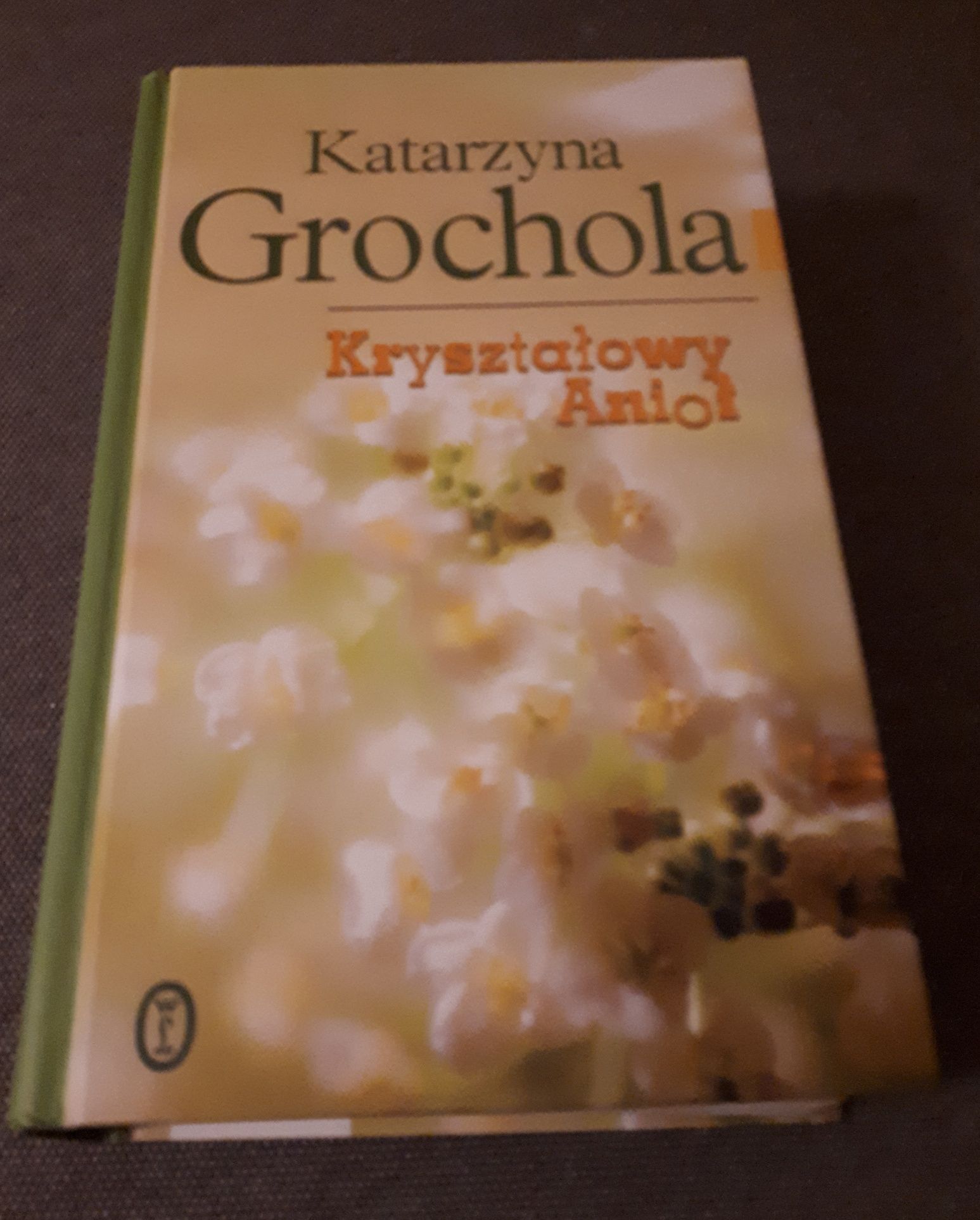 Katarzyna Grochola - Kryształowy Anioł