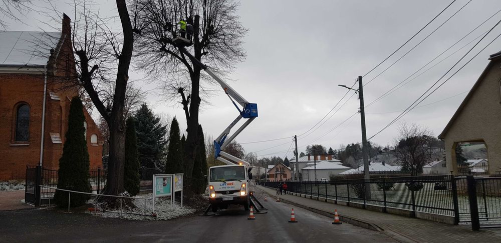 Wycinka drzew i krzewów, frezowanie pni, rębak, usługi ogrodnicze