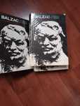 10 livros balzac