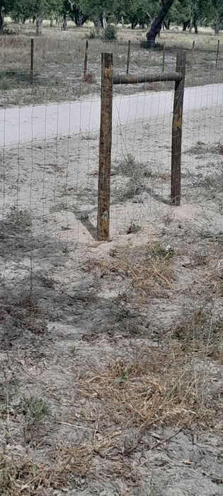 Vedações e portões