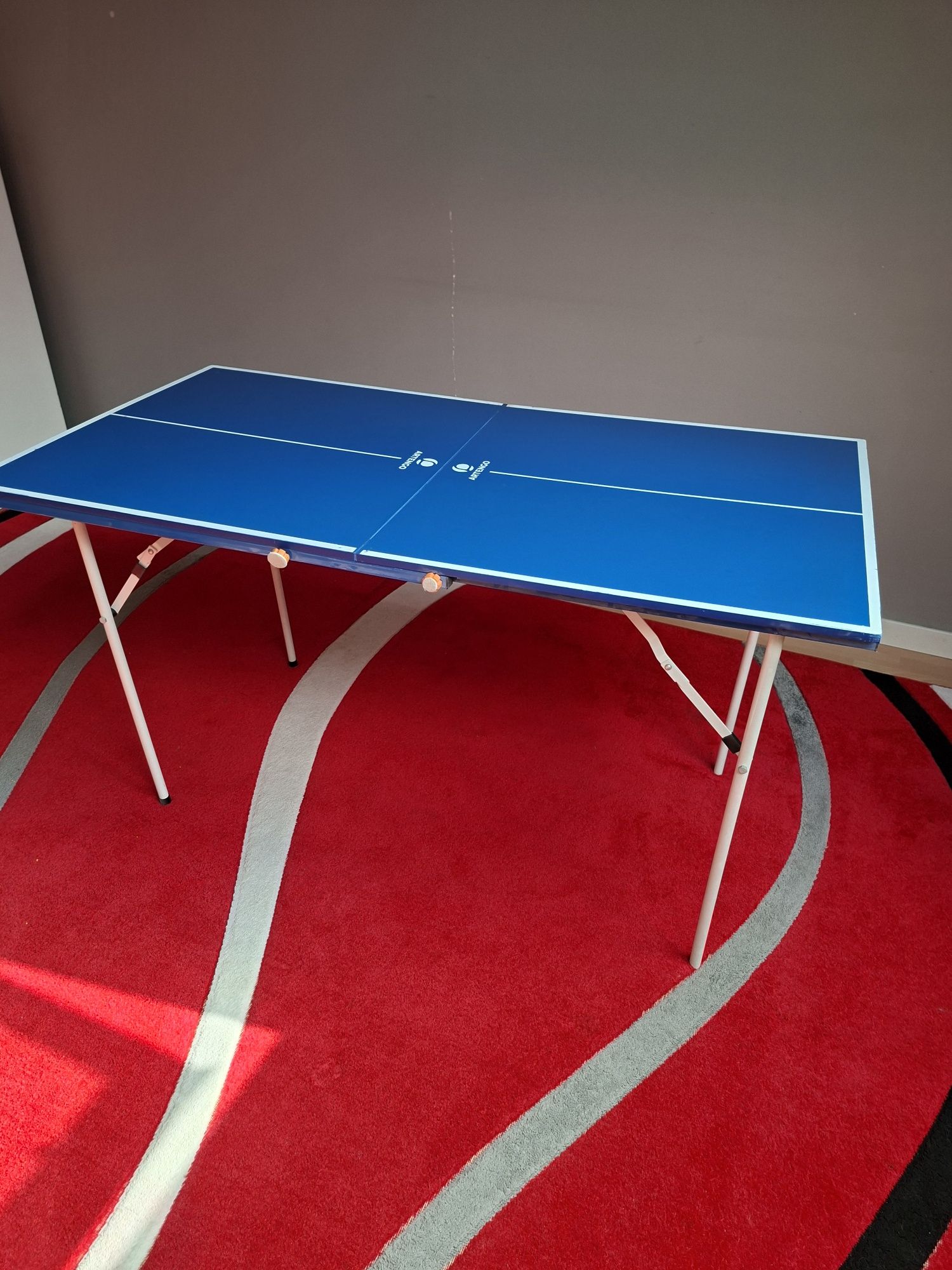 Mini Stół do ping-pong