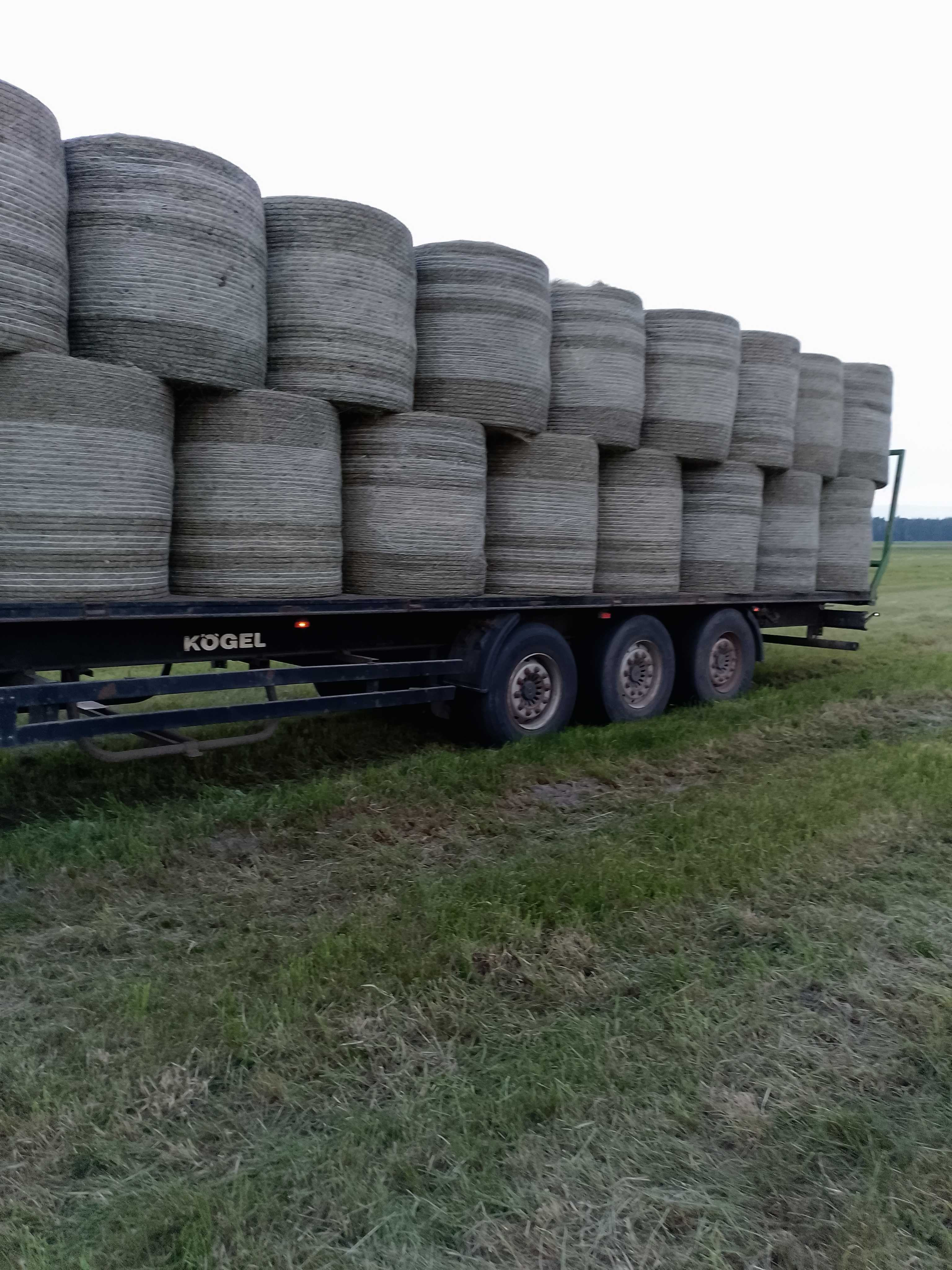 Kukurydza kiszonka,żyto, siano,sianokiszonka bele, LKS, ziarno (TMR)