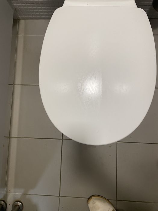 Sanita com autoclismo (bide incluido )