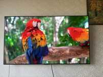 Телевізор LG OLED55C46LA  (LG C4.  55”)