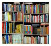 Livros a 1€ cada ou lotes de 100 por 50€ ( envio fotos )