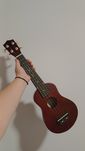 Ukulele castanho-escuro + CD guia + Manual + Caixa original