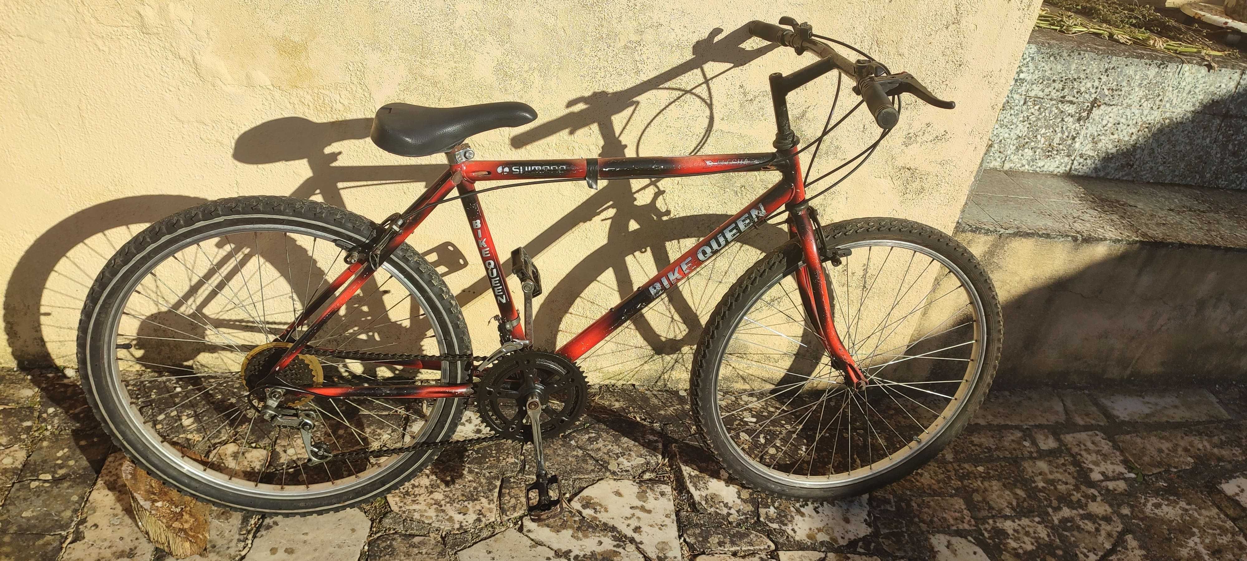 Bicicleta, rodas 26 polg., 12 mudanças Shimano