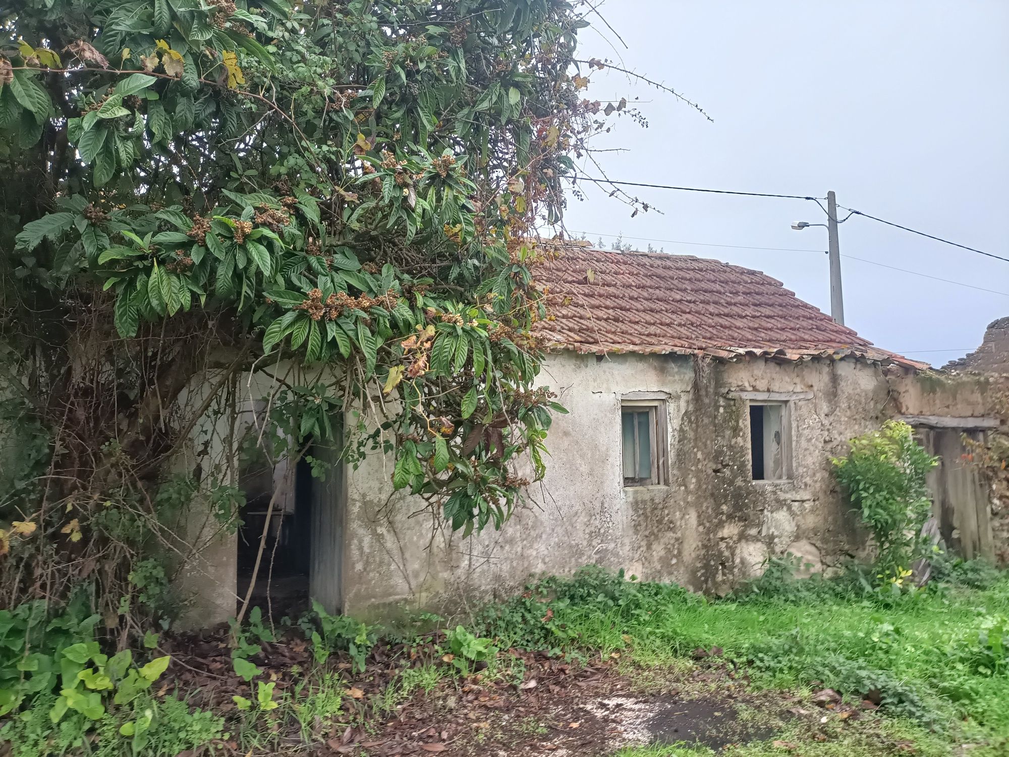 Terreno com possibilidade de construir 3/5 habitaçães