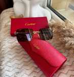 Окуляри Cartier Clash