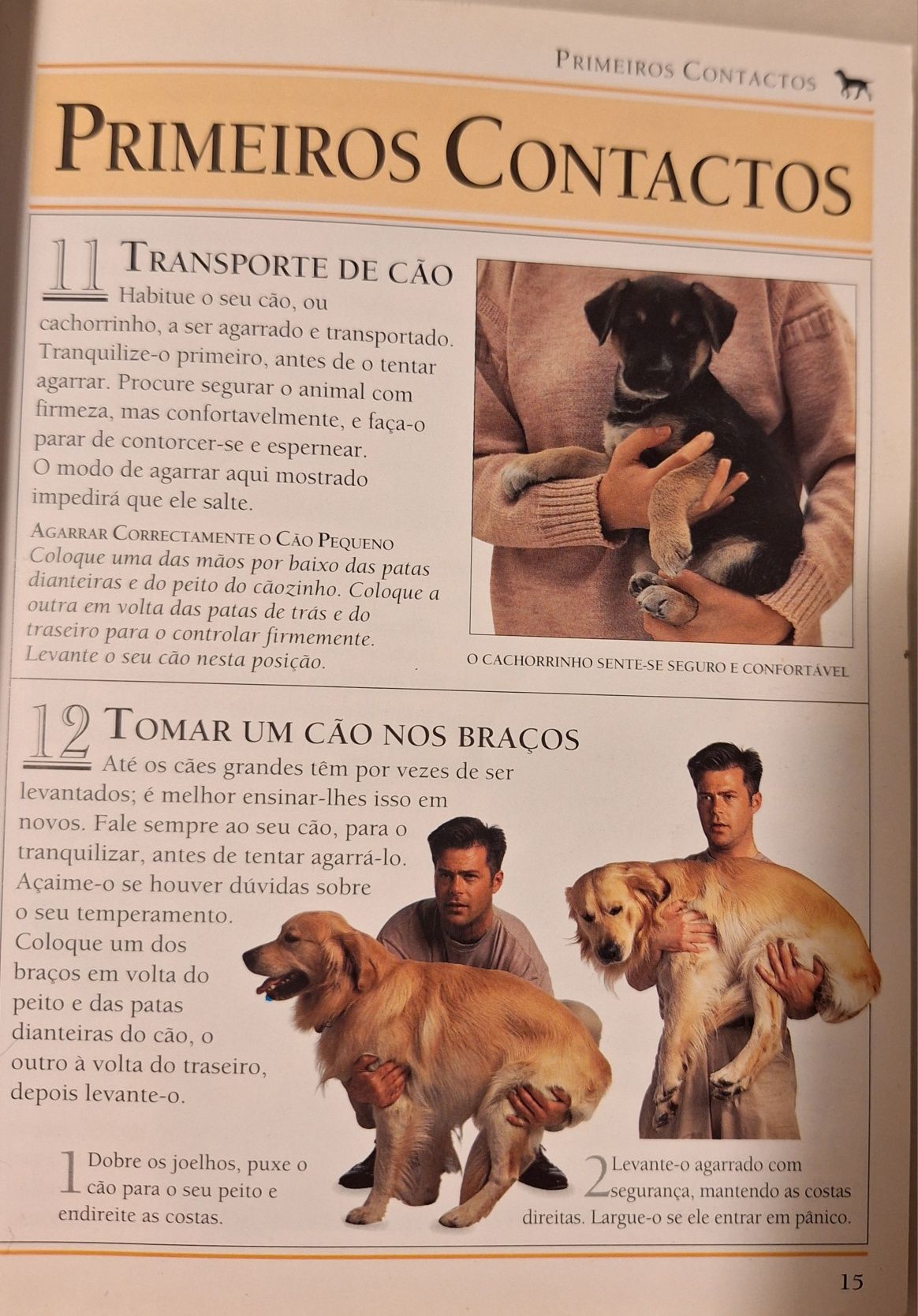 Livro- cuidar do cão,  101 sugestões