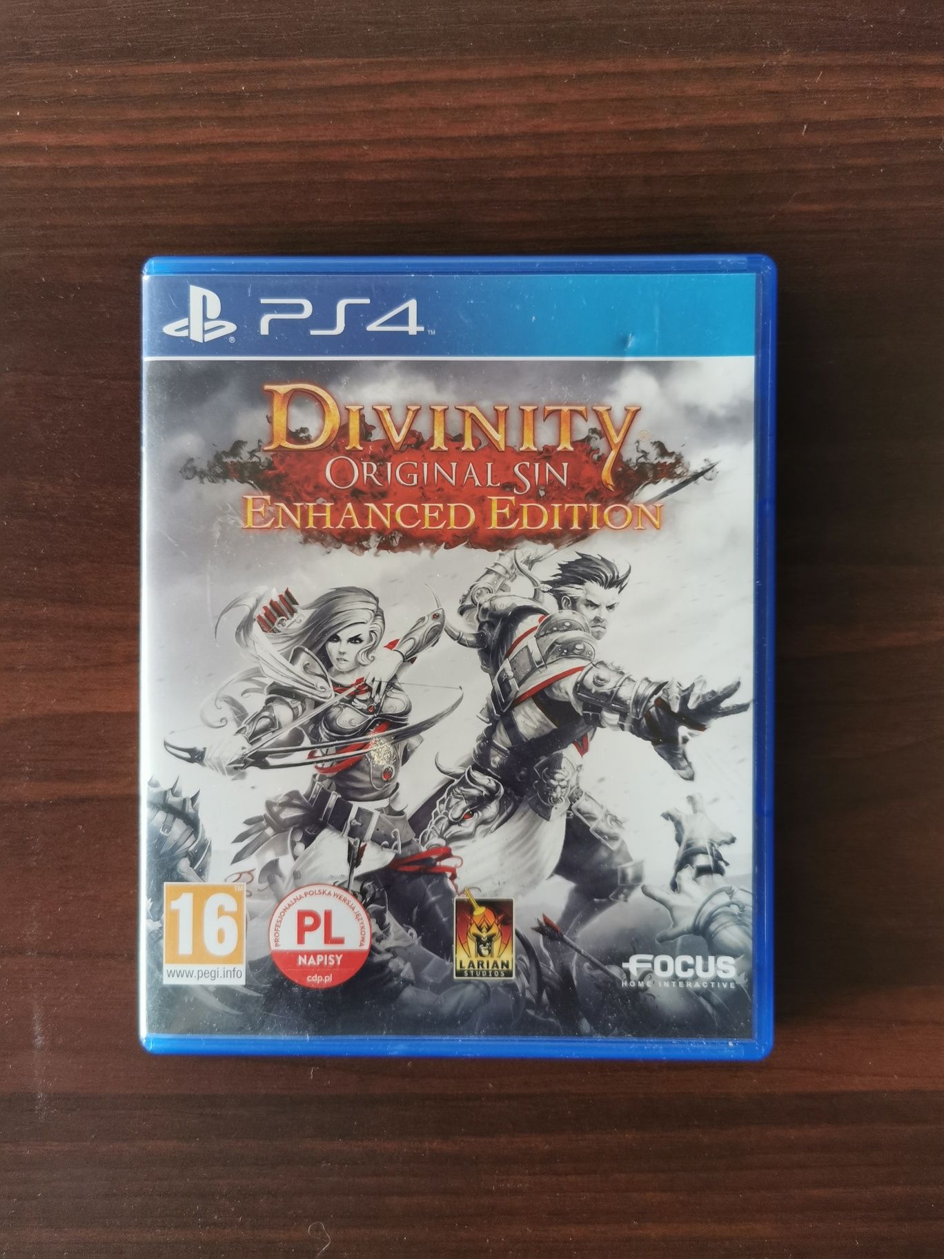 Divinity Original Sin Enhanced Edition PS4 PS5