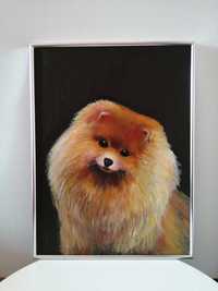 Obraz akrylowy pies 30x40 cm