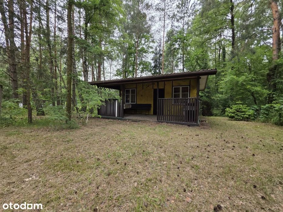 Działka rekreacyjna 1000 m2 w malowniczej okolicy