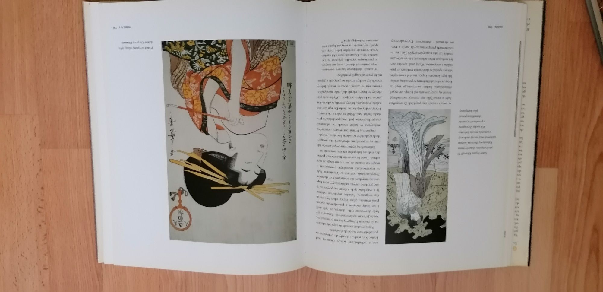 Gejsza. Świat japońskiej tradycji, elegancji i sztuki. John Gallagher