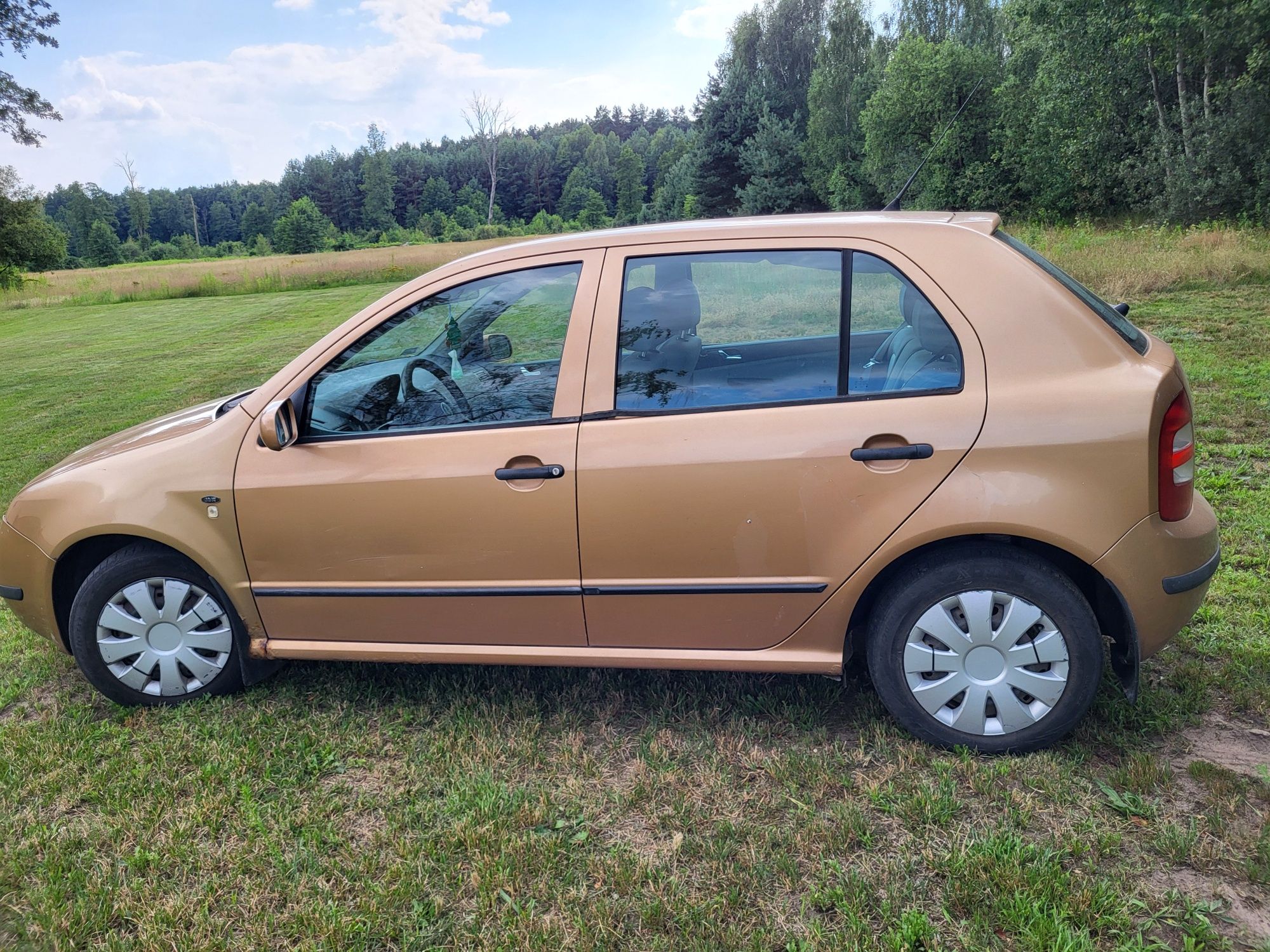 Sprzedam Skodę Fabię 1.4 lpg
