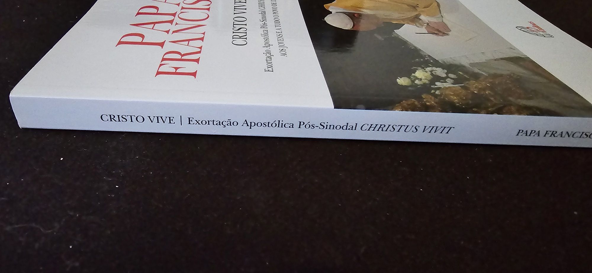Exortação apostólica Papa Francisco