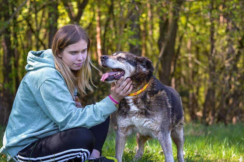 Daddy - towarzyski ze stabilnym charakterem