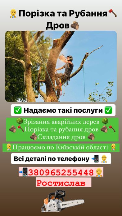 Зрізання аварійних дерев , чистка великих ділянок , різання дров