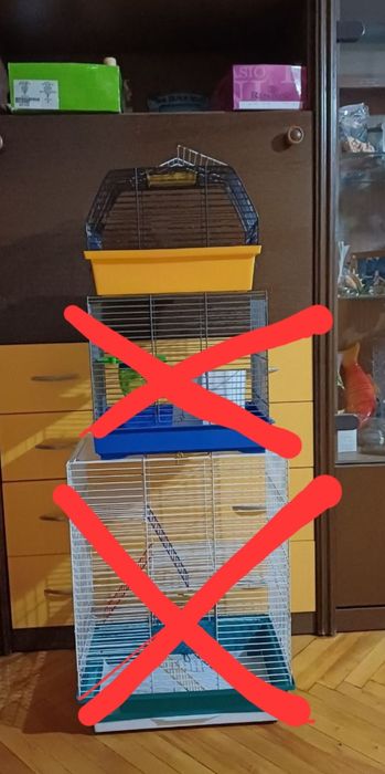 Клетка для хомяка. Переноска для морской свинки, крысы, хомяка