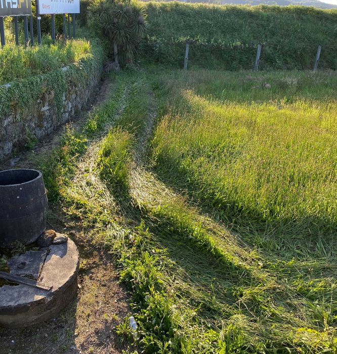 Vende-se Terreno Agrícola com Poço e Motor